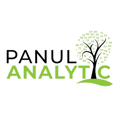 Panul Analytic